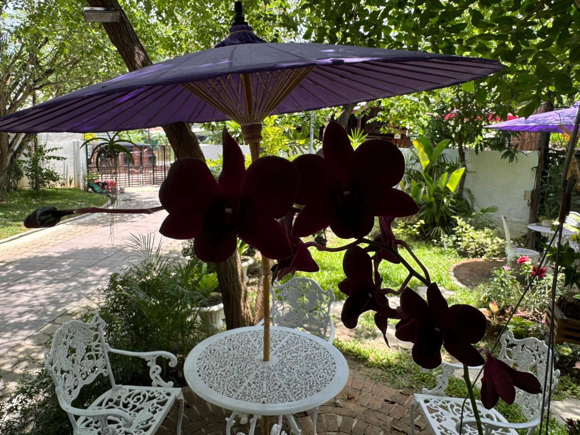 Chiang Mai Las Orquideas Resort Dış mekan fotoğraf
