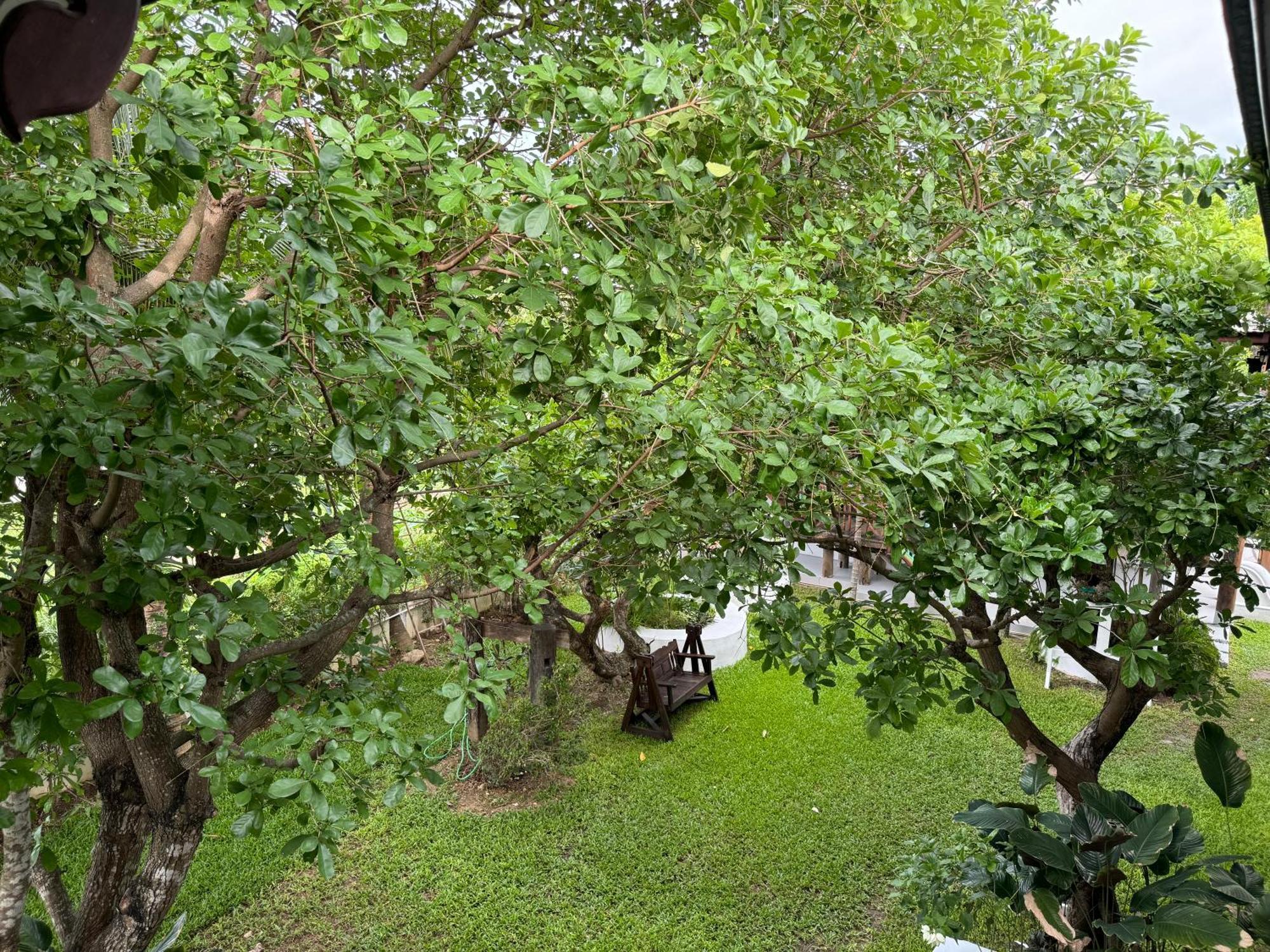 Chiang Mai Las Orquideas Resort Dış mekan fotoğraf
