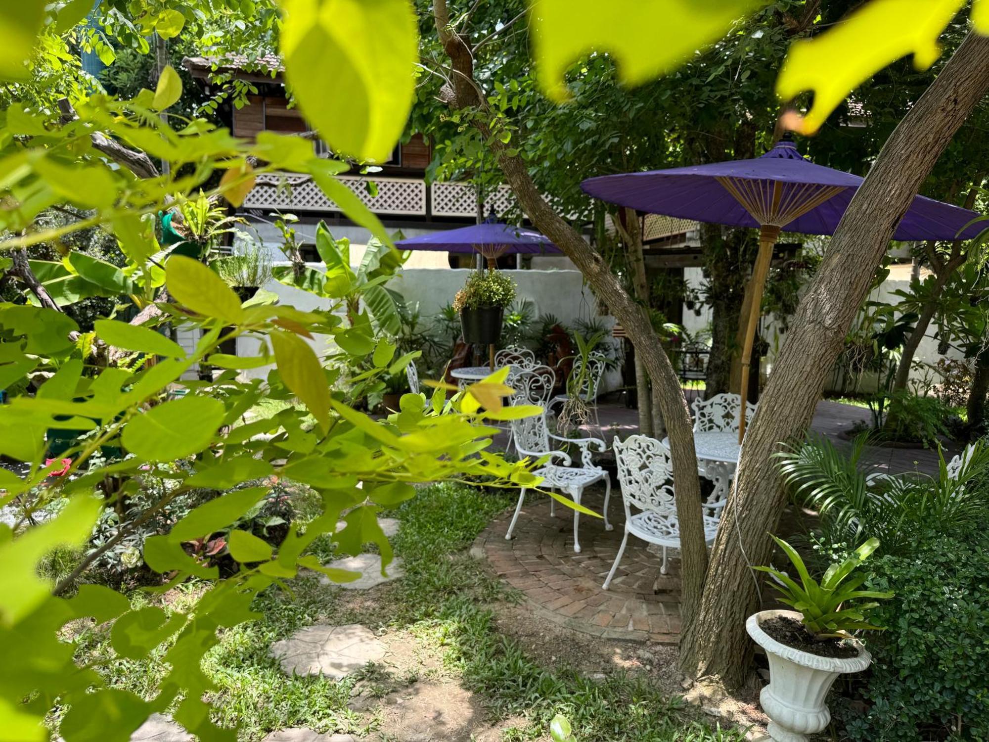 Chiang Mai Las Orquideas Resort Dış mekan fotoğraf